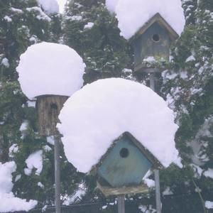 Meet your Posher, Ellen